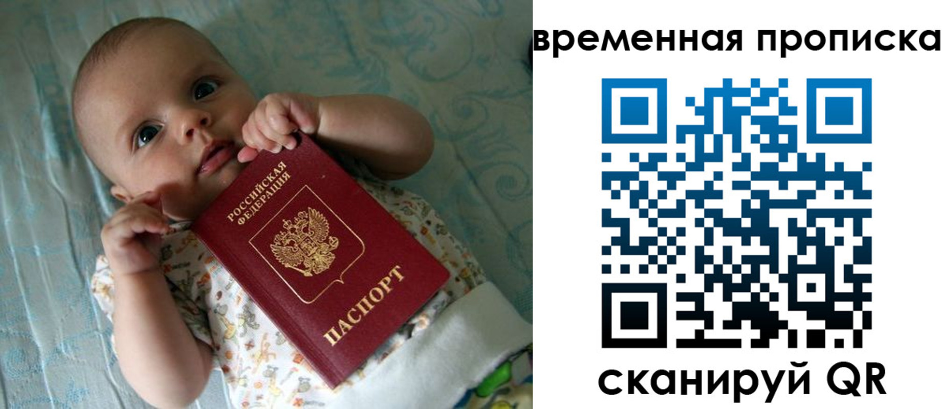 найти адрес прописки в Гусь-Хрустальном