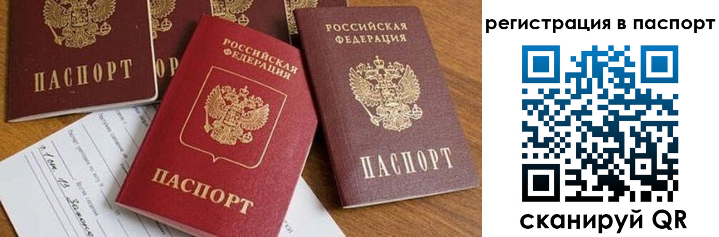 прописка в Гусь-Хрустальном